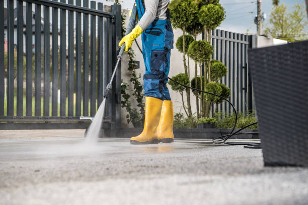 Best Gutter Cleaning  in Daleville, IN